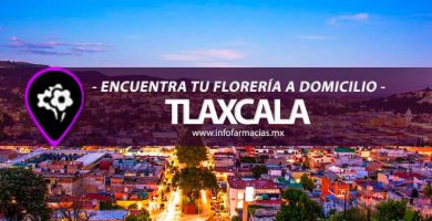 florerias a domicilio cercanas tlaxcala