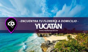 florerias a domicilio cercanas yucatan