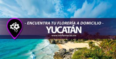florerias a domicilio cercanas yucatan